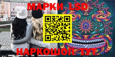 шишки Лесосибирск