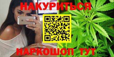шишки Лесосибирск