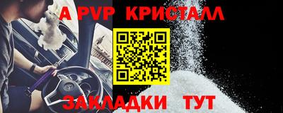 шишки Лесосибирск